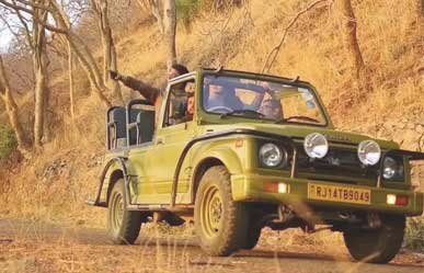 jeep safari sariska